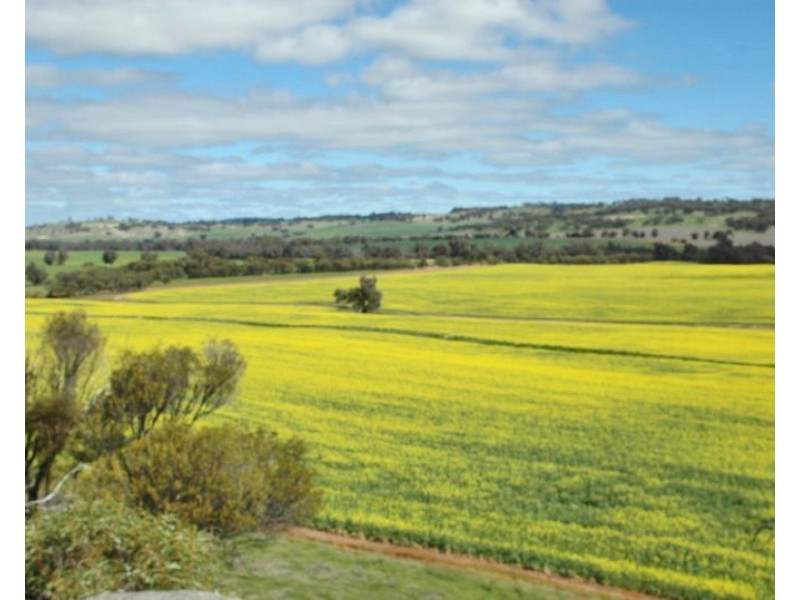 Kokeby West Road, Beverley WA 6304