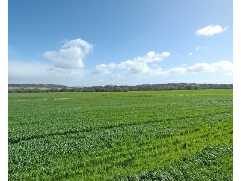 Kokeby West Road, Beverley WA 6304