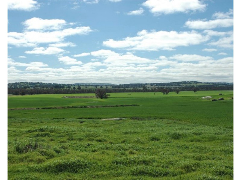 Kokeby West Road, Beverley WA 6304