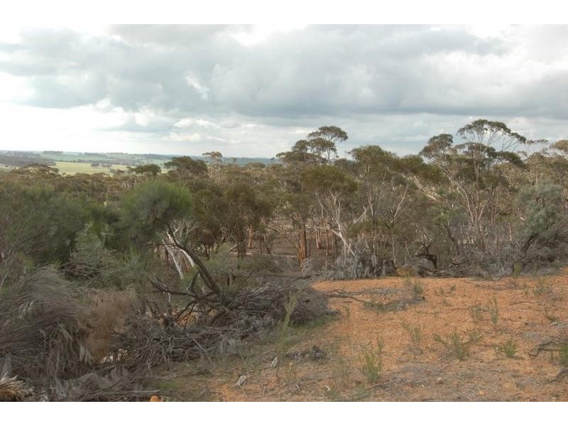 Lot 4, 4 Hayes Road, Quairading WA 6383