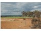 Lot 4, 4 Hayes Road, Quairading WA 6383