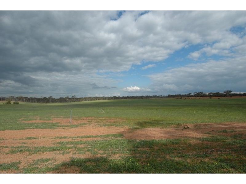 Lot 4, 4 Hayes Road, Quairading WA 6383