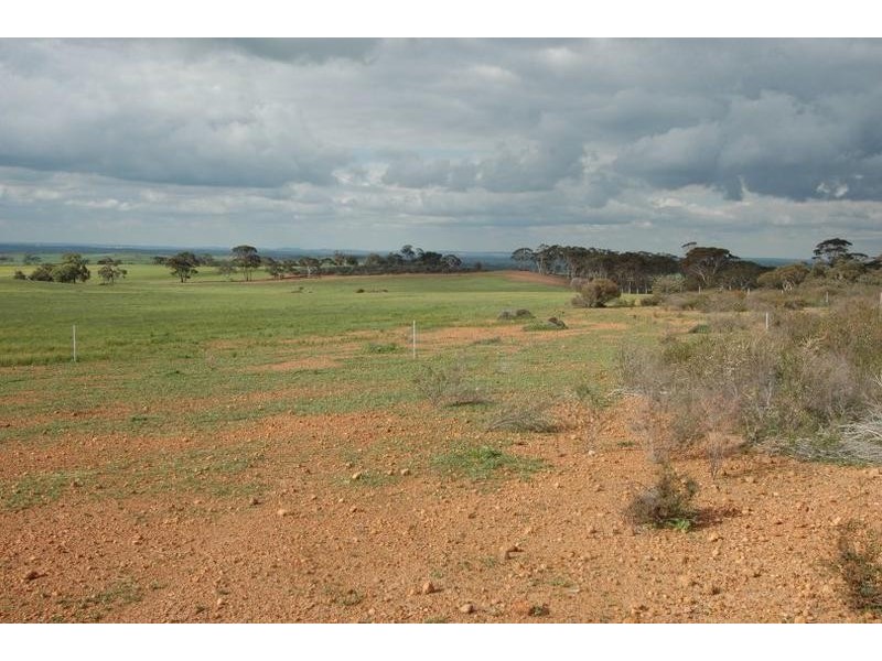 Lot 4, 4 Hayes Road, Quairading WA 6383