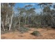 Lot 4, 4 Hayes Road, Quairading WA 6383