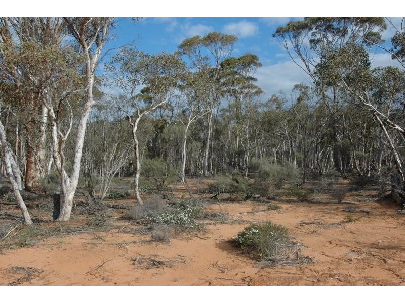 Lot 4, 4 Hayes Road, Quairading WA 6383