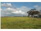Lot 9, 9 Parker, Quairading WA 6383