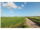 Lot 1,  FIEGERT RD, Cunderdin WA 6407