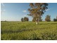 Lot 1,  FIEGERT RD, Cunderdin WA 6407