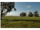 Lot 1,  FIEGERT RD, Cunderdin WA 6407