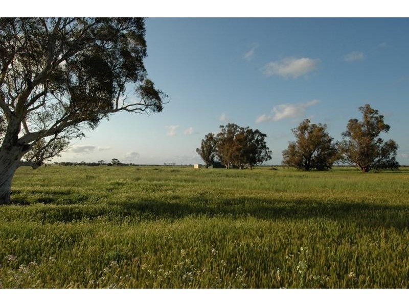 Lot 1,  FIEGERT RD, Cunderdin WA 6407