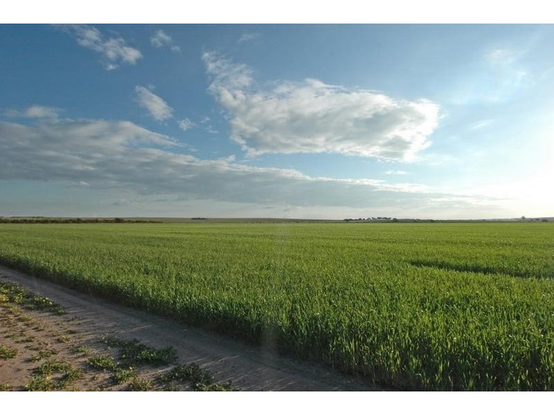 Lot 4545,  Fiegert Road, Cunderdin WA 6407