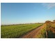 Lot 4545,  Fiegert Road, Cunderdin WA 6407