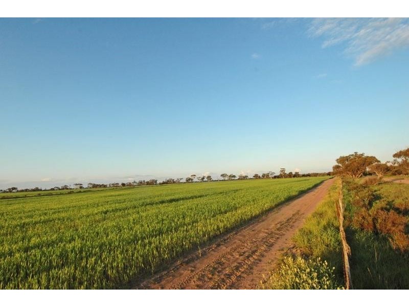 Lot 4545,  Fiegert Road, Cunderdin WA 6407