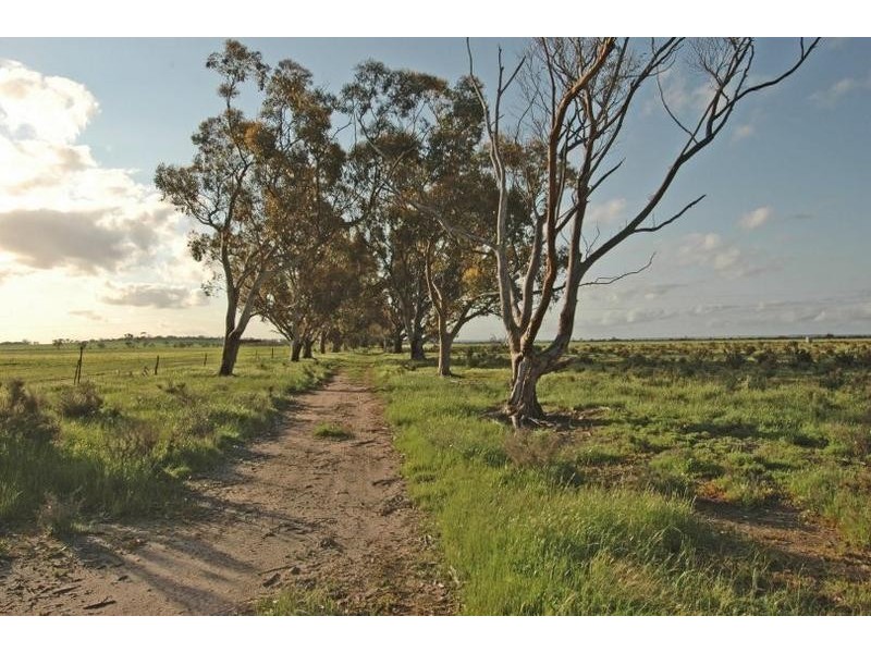 Lot 4545,  Fiegert Road, Cunderdin WA 6407