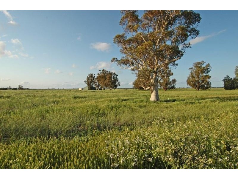 Lot 4545,  Fiegert Road, Cunderdin WA 6407