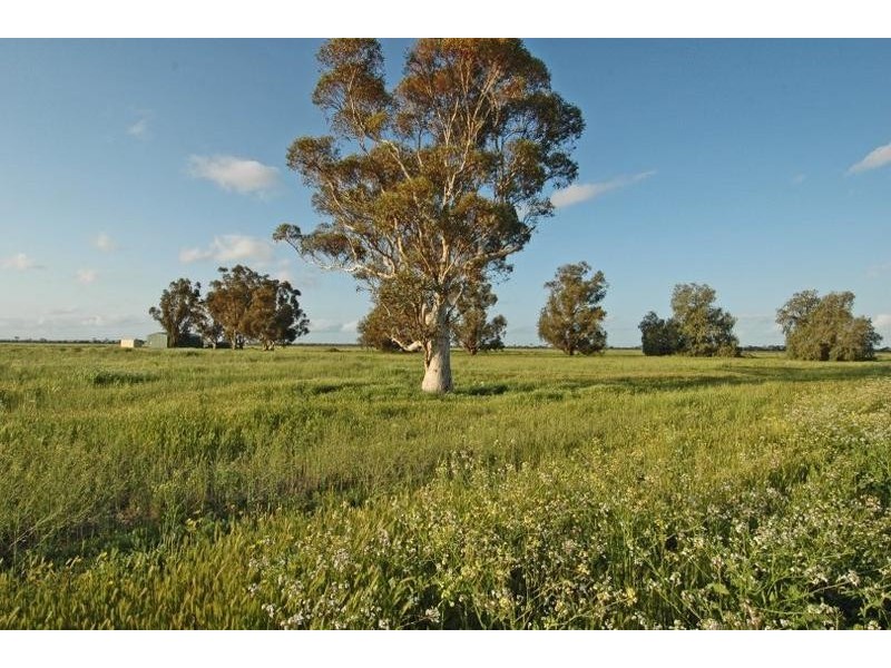 Lot 4545,  Fiegert Road, Cunderdin WA 6407