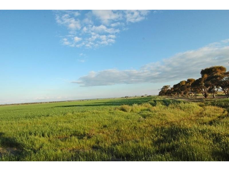 Lot 3767,  Fiegert Road, Cunderdin WA 6407