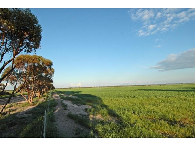 Lot 3767,  Fiegert Road, Cunderdin WA 6407