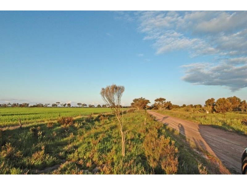 Lot 9351,  Fiegert Road, Cunderdin WA 6407