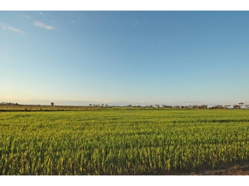 Lot 9351,  Fiegert Road, Cunderdin WA 6407