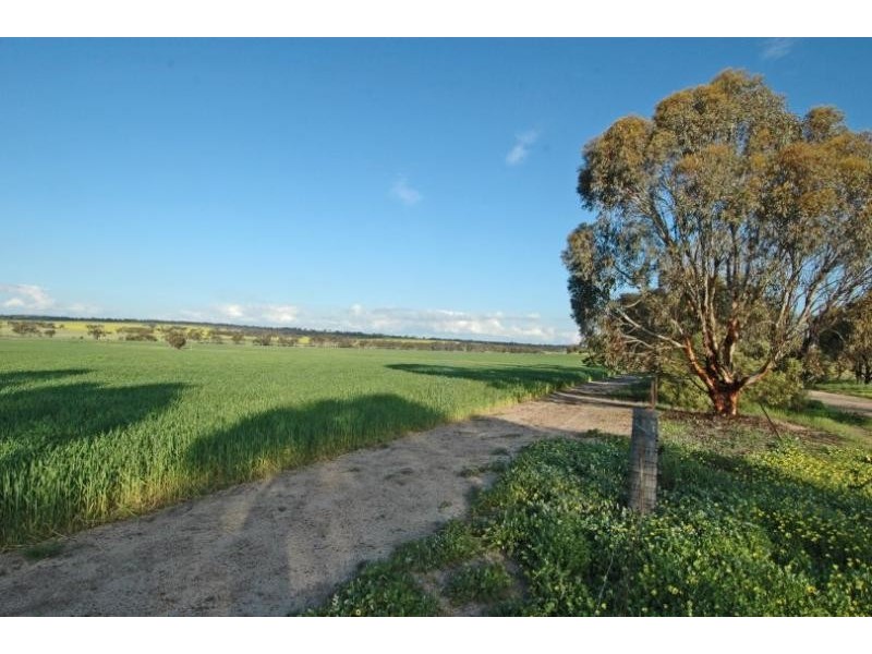 Lot 9351,  Fiegert Road, Cunderdin WA 6407