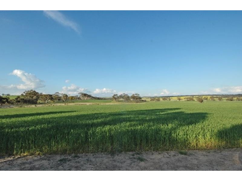 Lot 9351,  Fiegert Road, Cunderdin WA 6407