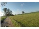 Lot 9351,  Fiegert Road, Cunderdin WA 6407