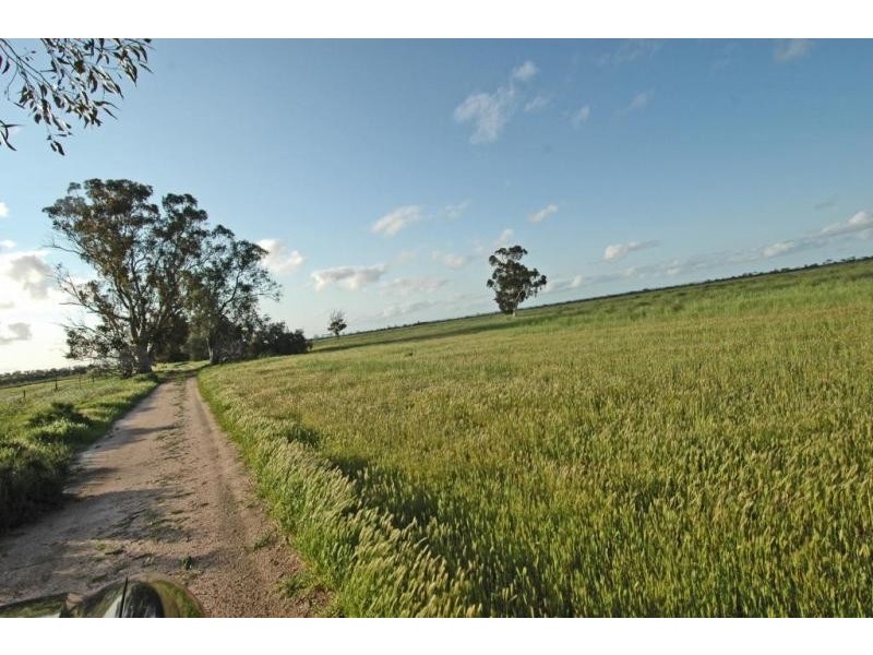 Lot 9351,  Fiegert Road, Cunderdin WA 6407