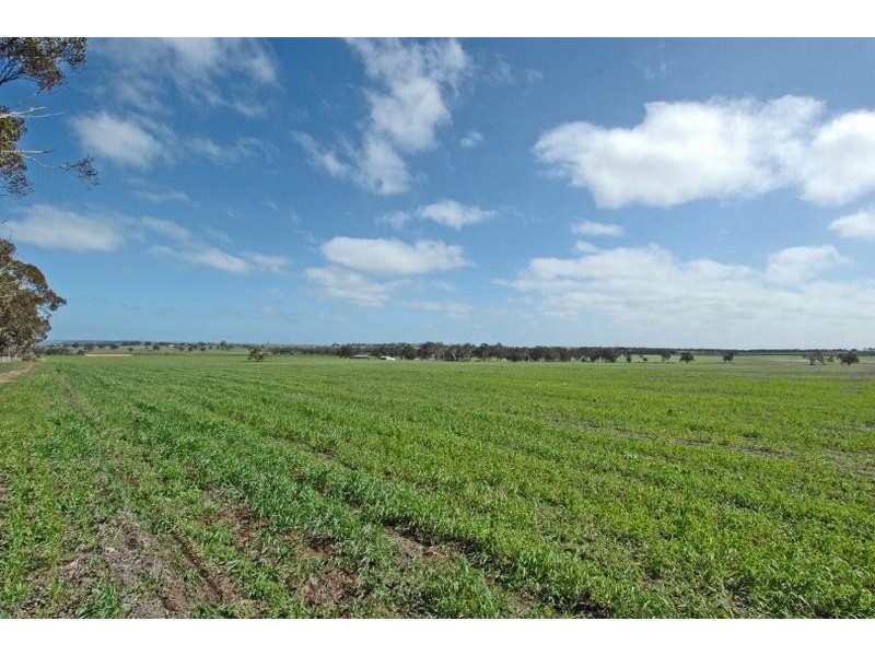 Lot 286,  Maitland Road, Beverley WA 6304