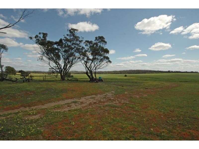 801 YENELIN ROAD, Pingelly WA 6308