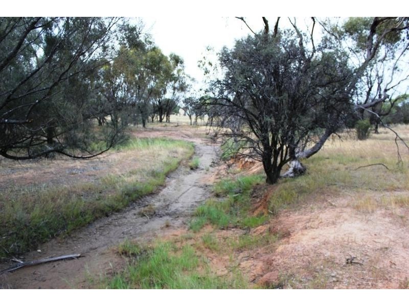 Lot 1593,  Bogling Road, Calgie, York WA 6302