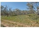420 DANGIN NORTH ROAD, Quairading WA 6383
