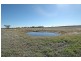 Lot 5,  Lot 5 Cunderdin – Wyalkatchem Rd, Cunderdin WA 6407