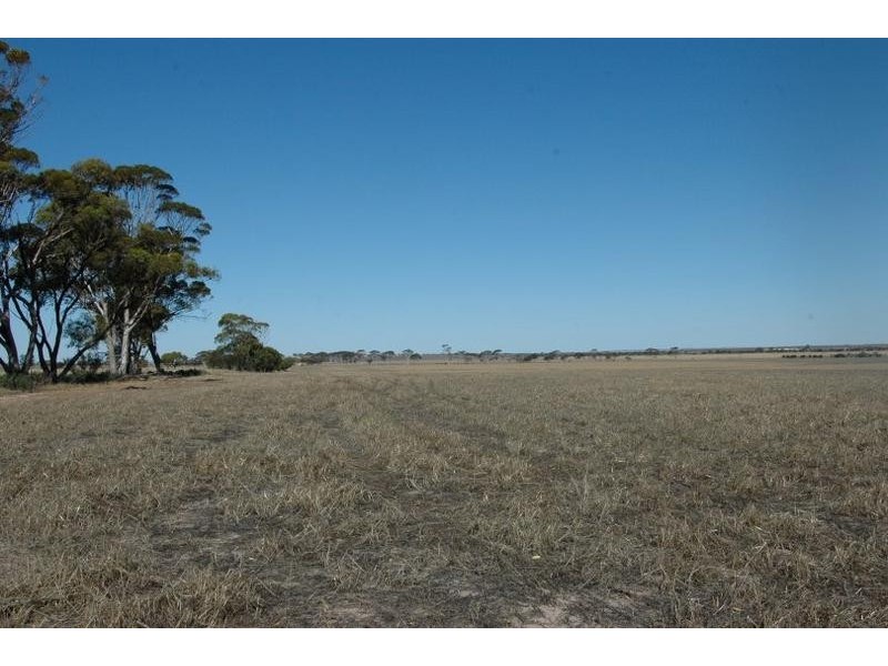 Lot 5,  Lot 5 Cunderdin – Wyalkatchem Rd, Cunderdin WA 6407