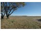 Lot 5,  Lot 5 Cunderdin – Wyalkatchem Rd, Cunderdin WA 6407
