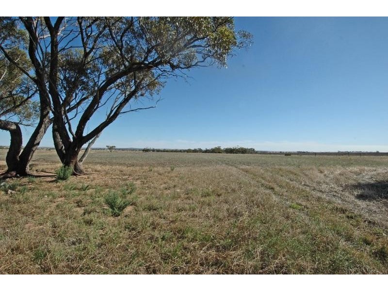 Lot 5,  Lot 5 Cunderdin – Wyalkatchem Rd, Cunderdin WA 6407