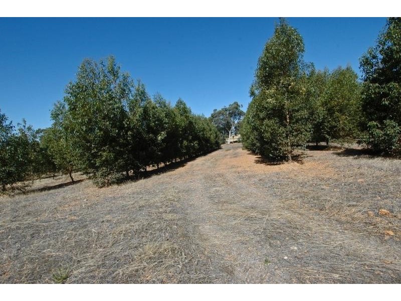 Lot Loc 7244,  West Popanyinning Road, Popanyinning WA 6309