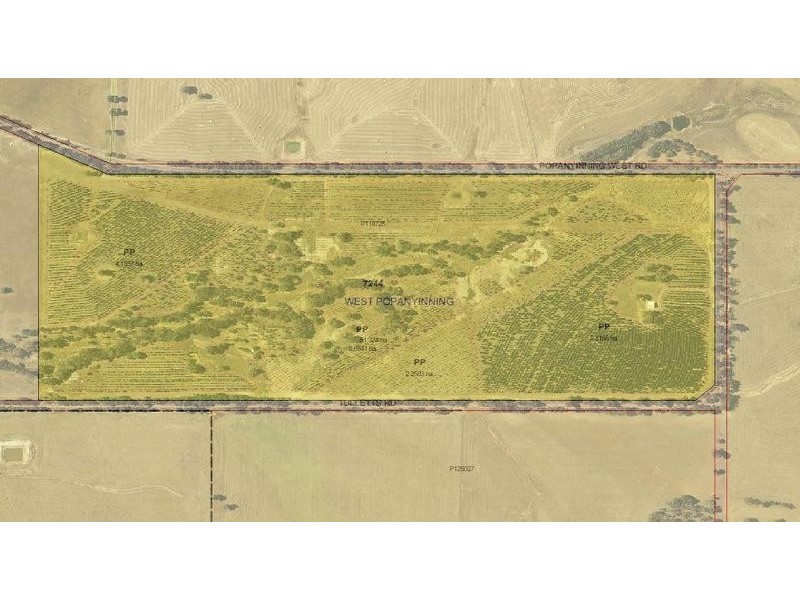 Lot Loc 7244,  West Popanyinning Road, Popanyinning WA 6309