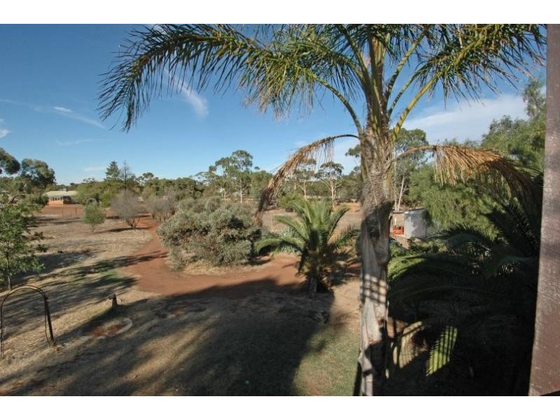3 Lee Cres, York WA 6302