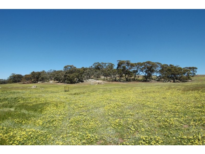 101 WESTDALE RD, Beverley WA 6304