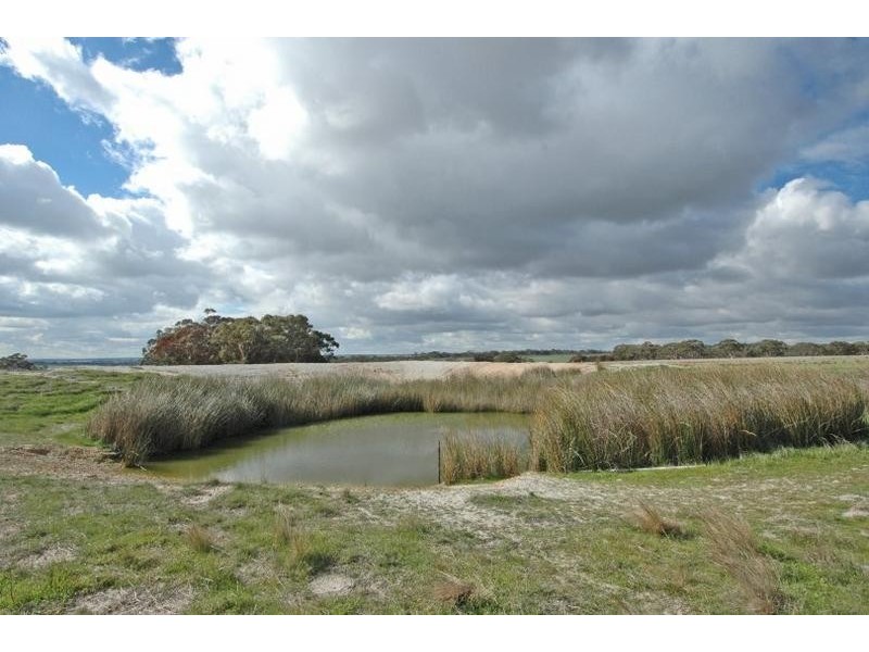 Lot 18717,  Mawson Dodenanning Road, Quairading WA 6383