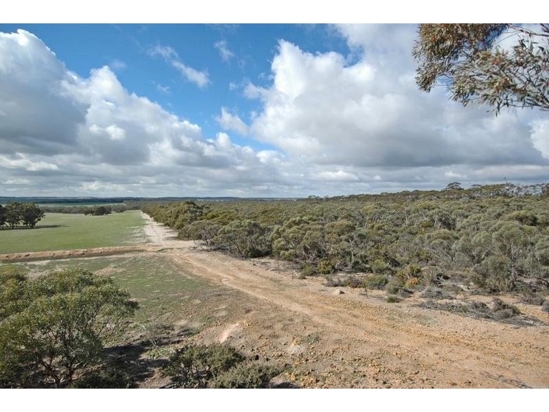 Lot 18717,  Mawson Dodenanning Road, Quairading WA 6383