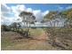 Lot 18717,  Mawson Dodenanning Road, Quairading WA 6383
