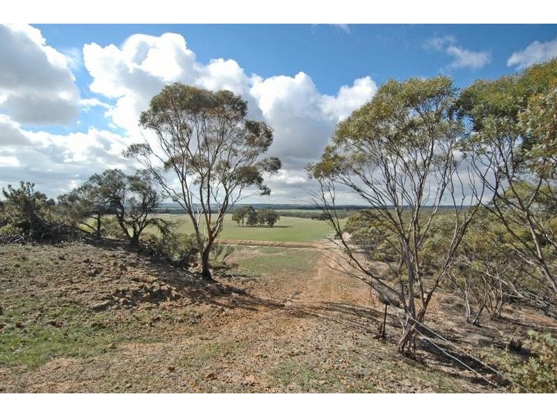 Lot 18717,  Mawson Dodenanning Road, Quairading WA 6383