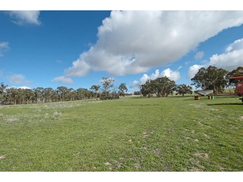 Lot 18717,  Mawson Dodenanning Road, Quairading WA 6383