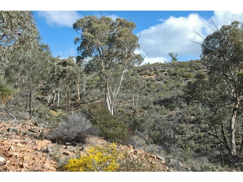 Location 2 Mt Bakewell, York WA 6302