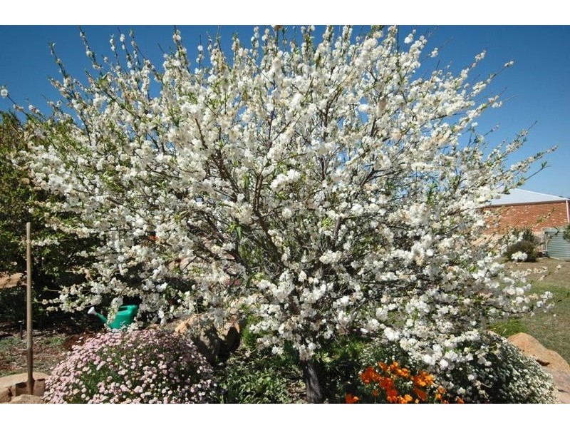 51 Herbert Road, York WA 6302