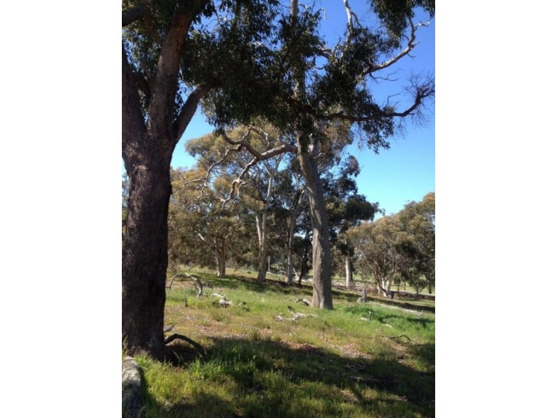 Lot 12,  Westdale Road, Beverley WA 6304