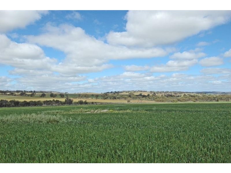 Lot 2937/2863, 293 Hillcroft, Brookton WA 6306