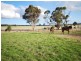 Lot 529,  HIGHBURY WEST ROAD, Highbury WA 6313